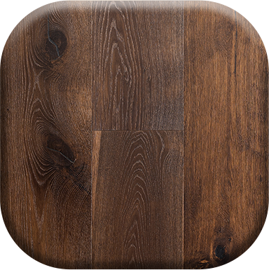 image of the collection